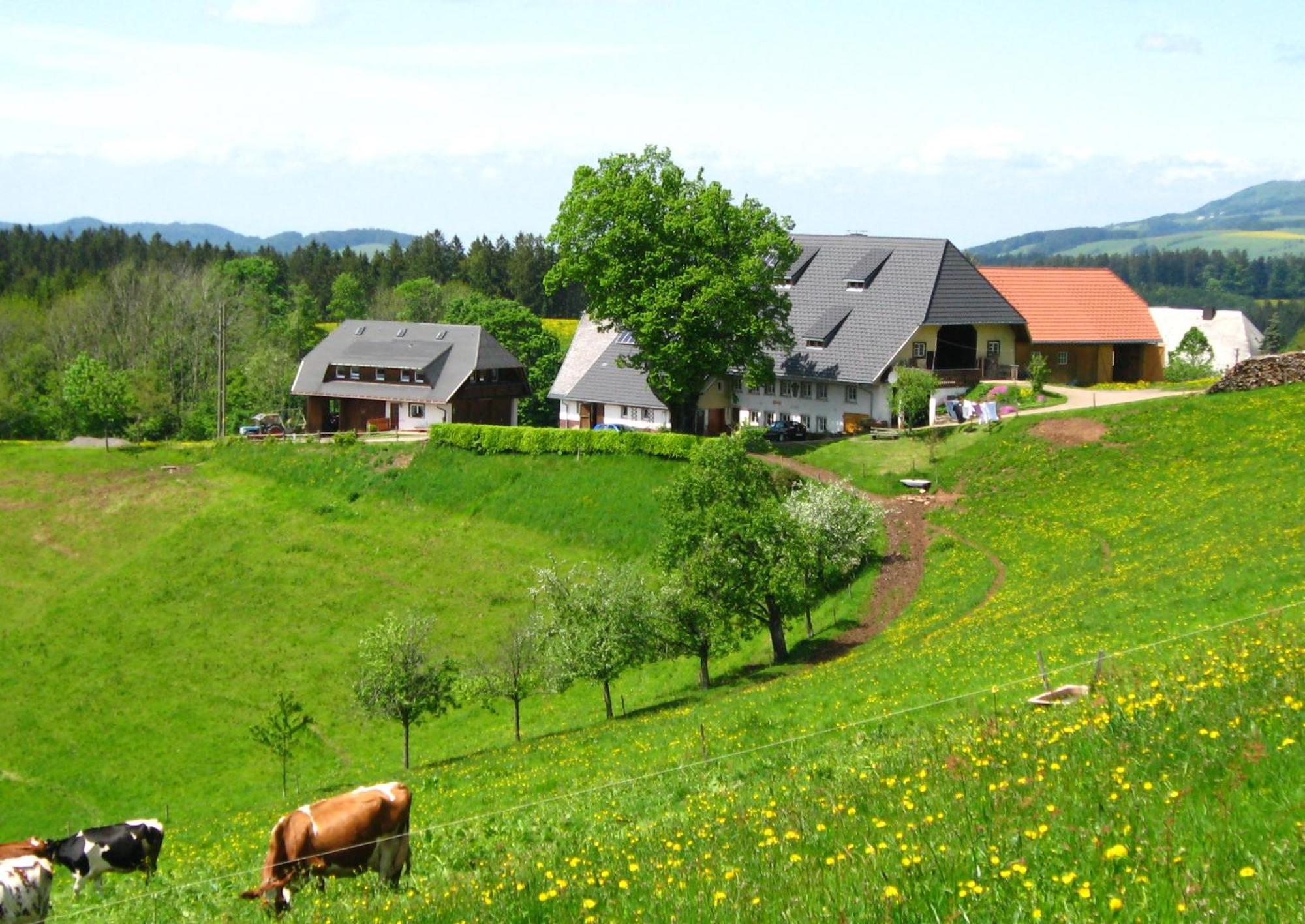 Erlenbach  Brosihof 아파트 외부 사진